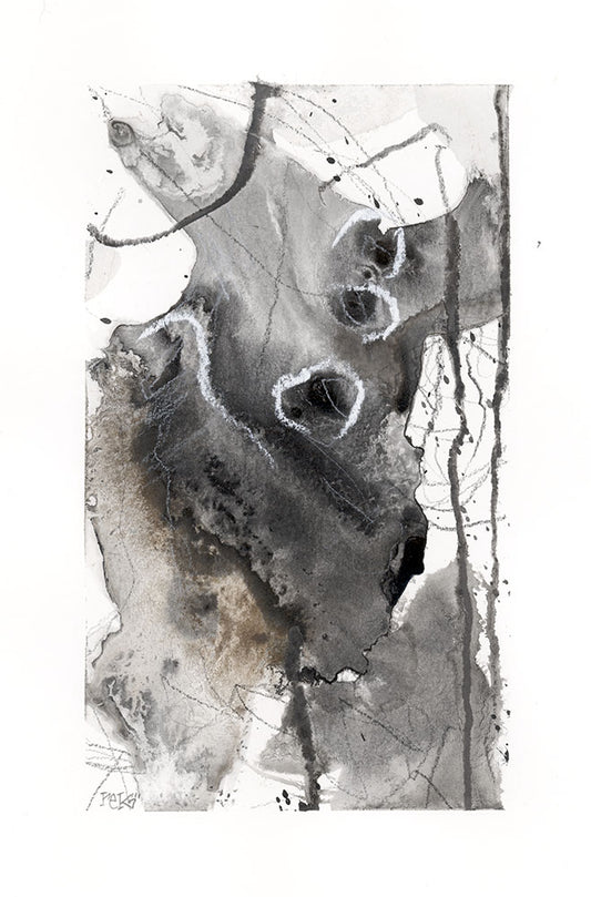 Sable Series #25041305