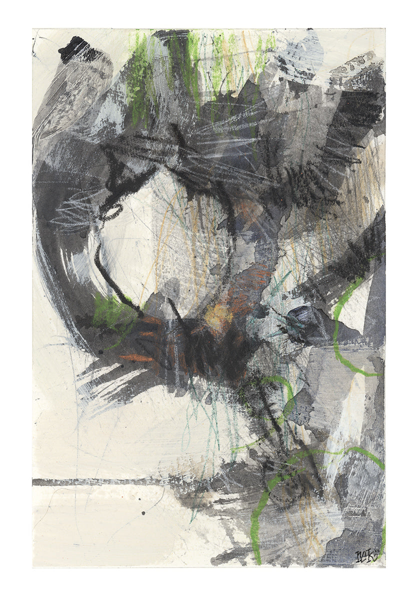 County Cork Series #01