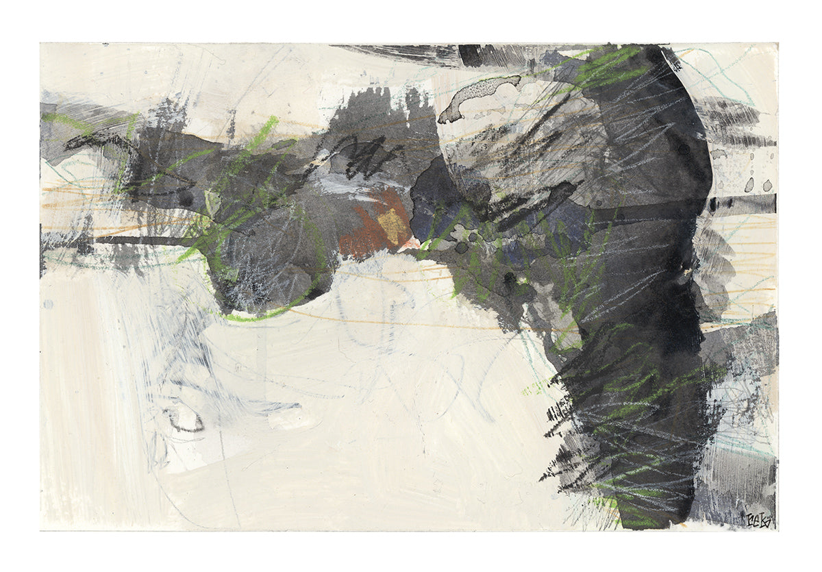 County Cork Series #02