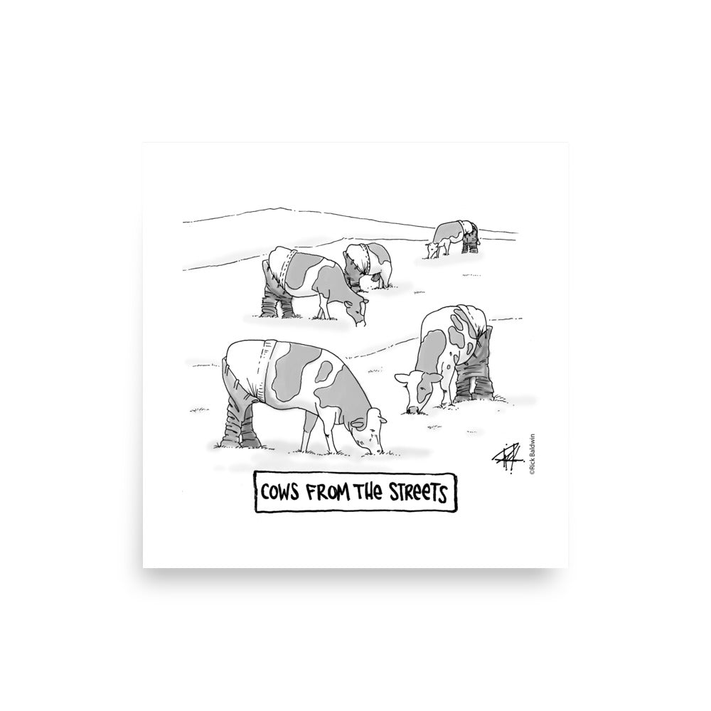 Cows From The Street - Cartoon Print